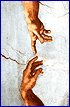 Pain Medical Education Online