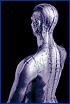 Russian Conference "Trauma of Nervous System"